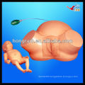 ISO Advanced Difficult Labor Model, Childbirth Simulator,delivery model